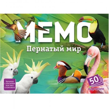 Lauamäng MEMO (komplektis kuulub ainult venekeelne raamat)