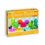 Küünalde meisterdamise komplekt "Bougies Végétales"