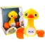 Toy for baby Goose