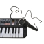 Electronic Keyboard Piano Organ with microphone,39 keys