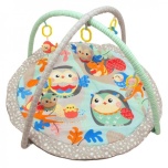 Educational playmat Owls