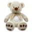 Musical Bear with lamp